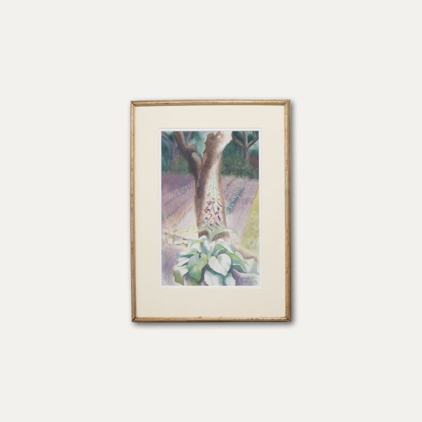 Osmund Caine (1914 2004) 1949 Watercolour, Foxgloves photo vinterior