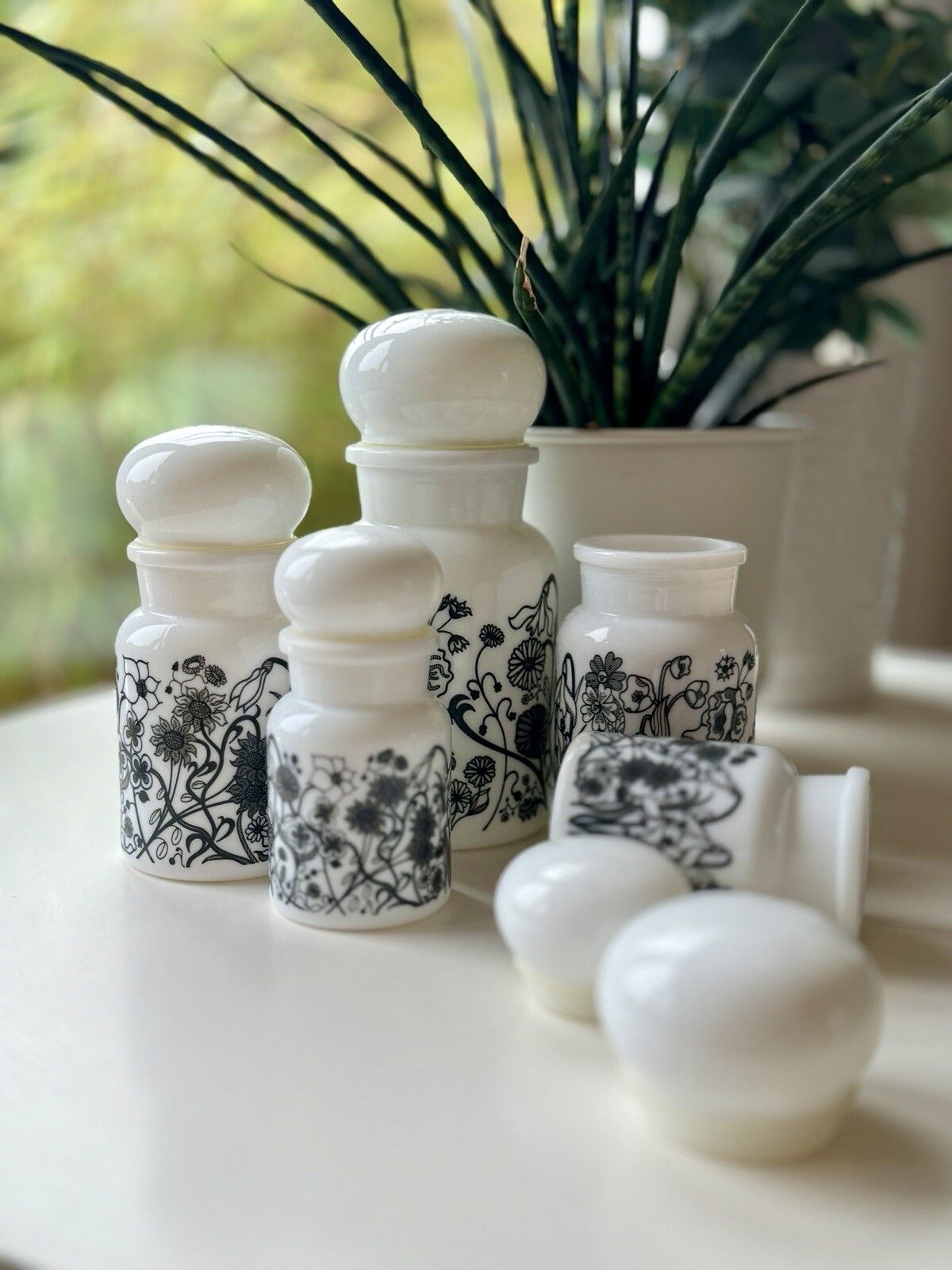 Set Of 5 1970s White Milk Glass Flower Design Bubble Lid Jars Made In Belgium photo 60.0