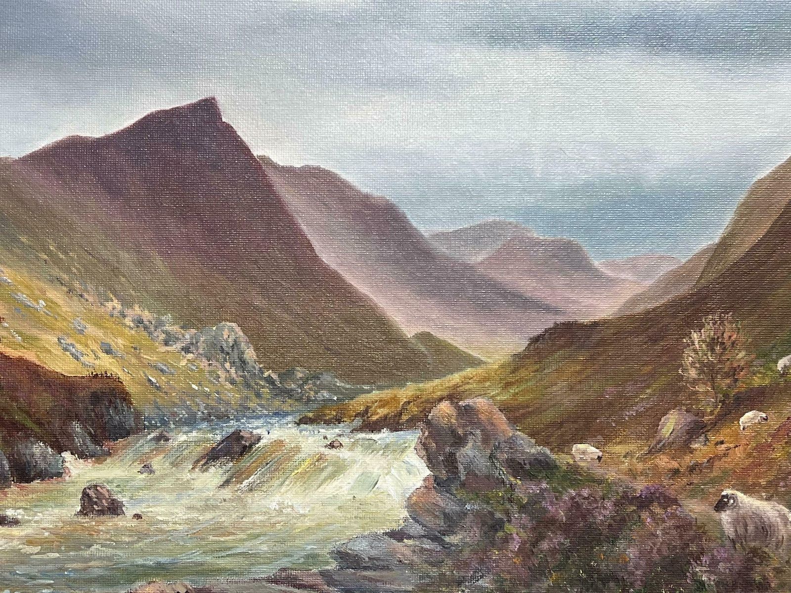 Pearl Pattersonglencoe Scotland Majestic Highland Landscape With Sheep Signed British Oil 2003 photo Art