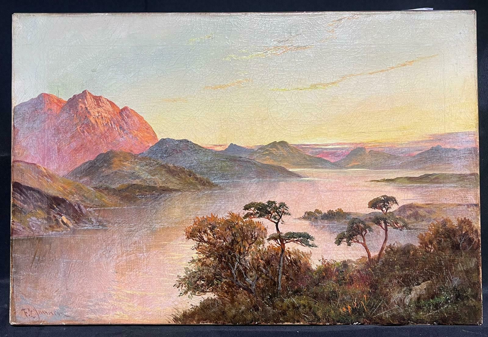 F. E. Jamiesonantique Scottish Highland Landscape Loch Scene Signed Oil Painting On Canvas photo furniture