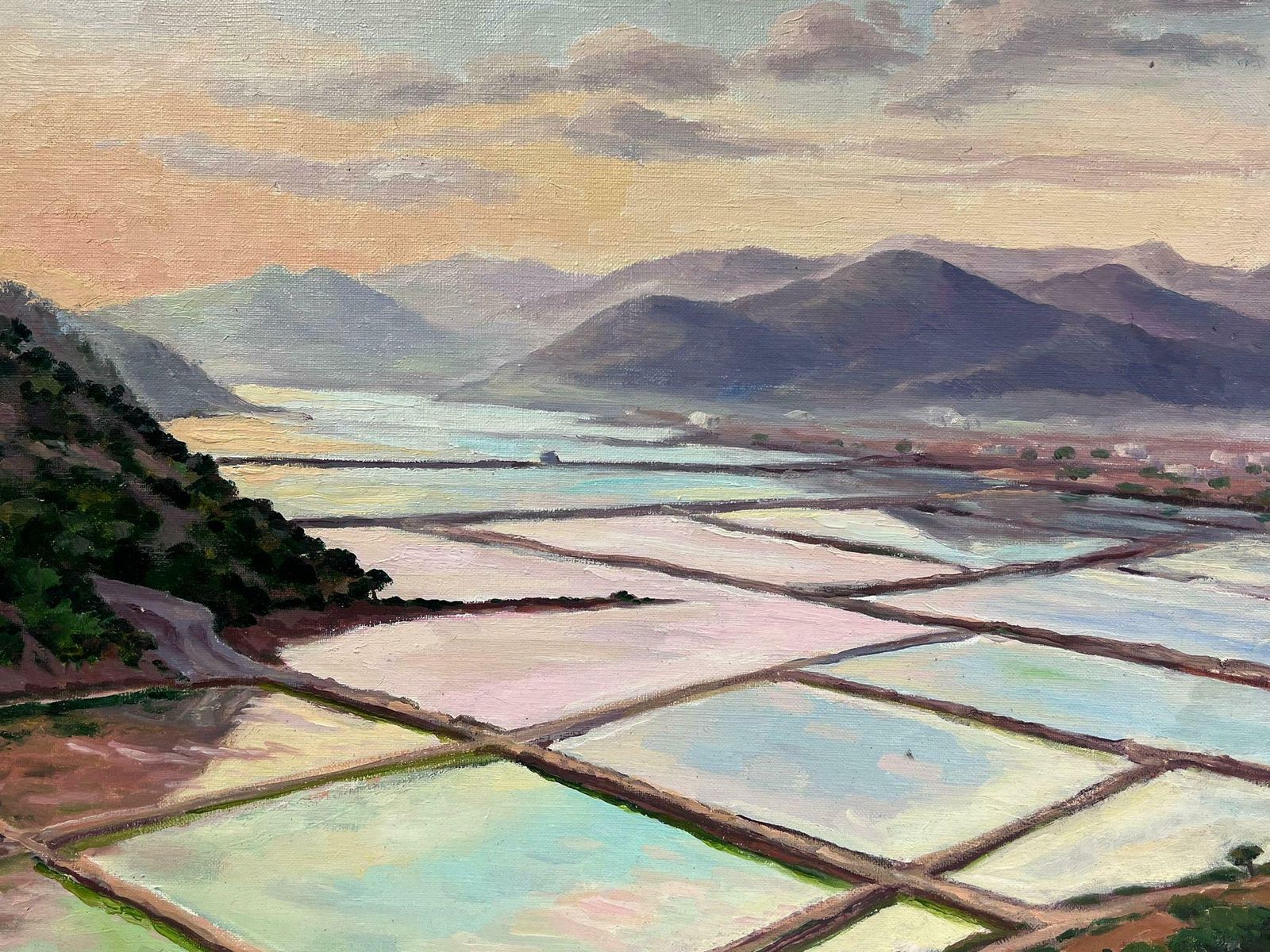 Georges Bordonavecontemporary French Impressionist Oil Salt Ponds South Of France Coastal Scene photo Art
