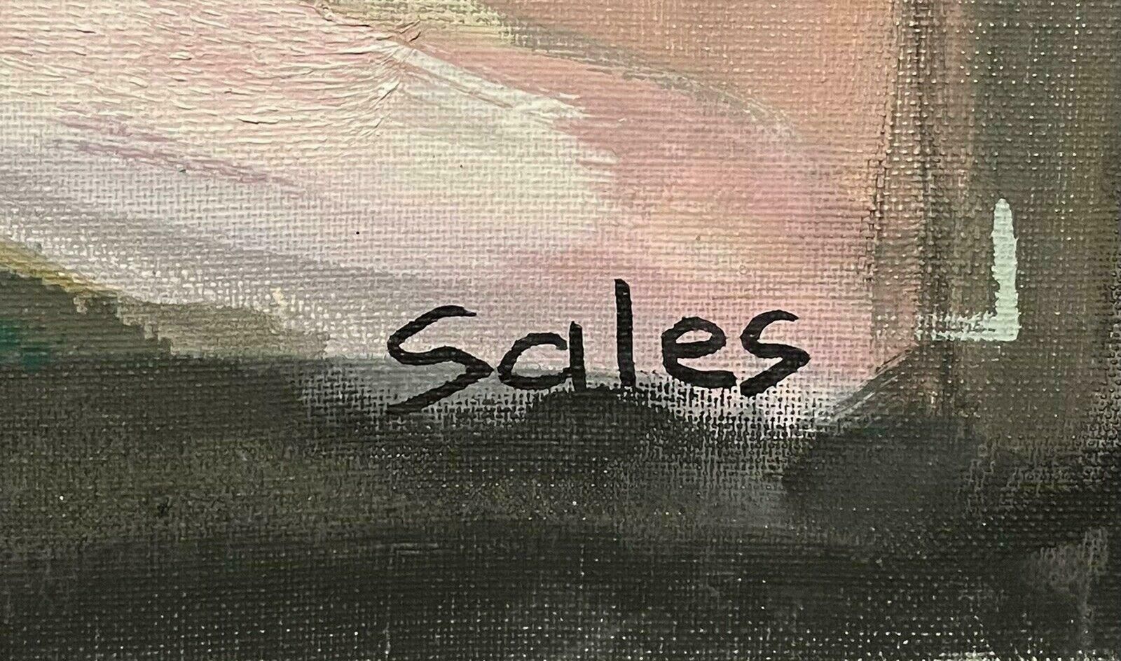 Robert Saleslarge 1970's French Modernist Signed Oil Beautiful Still Life Fruit & Colors photo 710.0