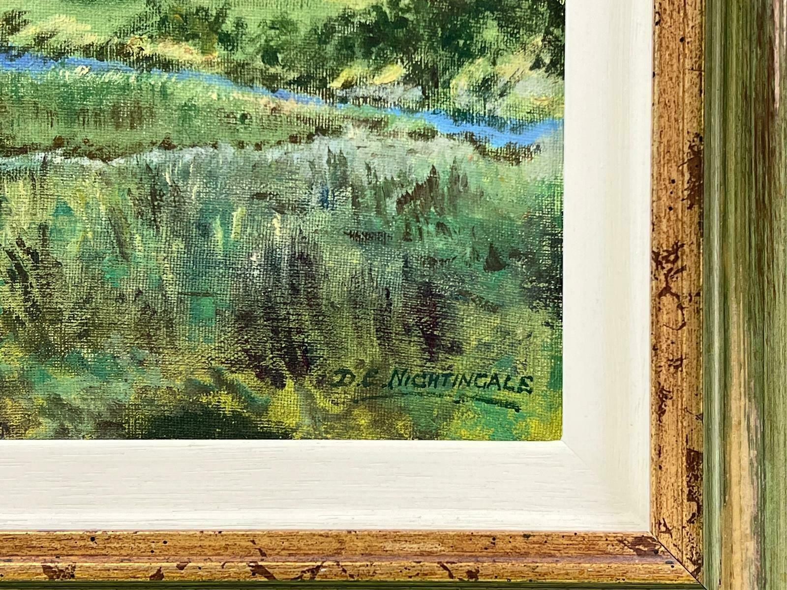 D. E. Nightingalenorth Wales River Landscape River Afon At Abergynolwyn Signed Oil Painting photo Art