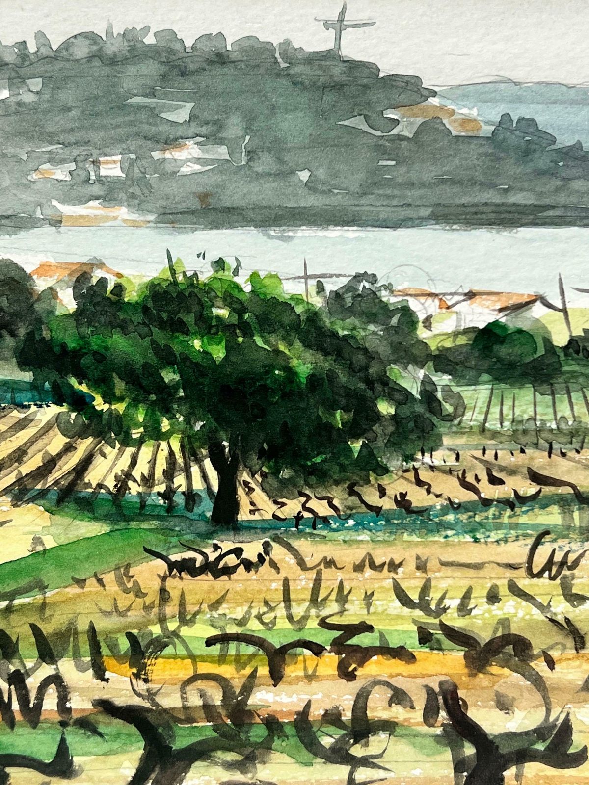 French Schoolvineyards Overlooking The Mediterranean Seas Coastline French Impressionist photo Art