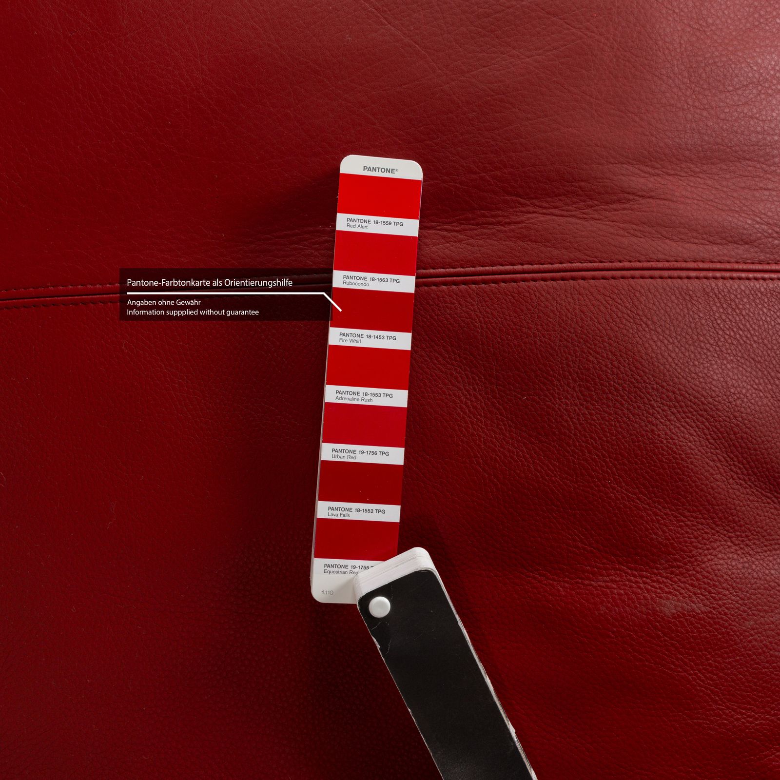 Christine Kröncke Leather Lounger Red photo vinterior