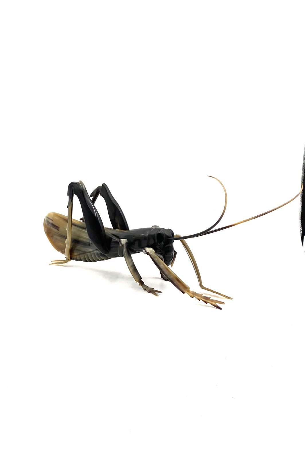 photo vinterior Mid Century Hand Crafted Horn Grasshopper, France 1960s