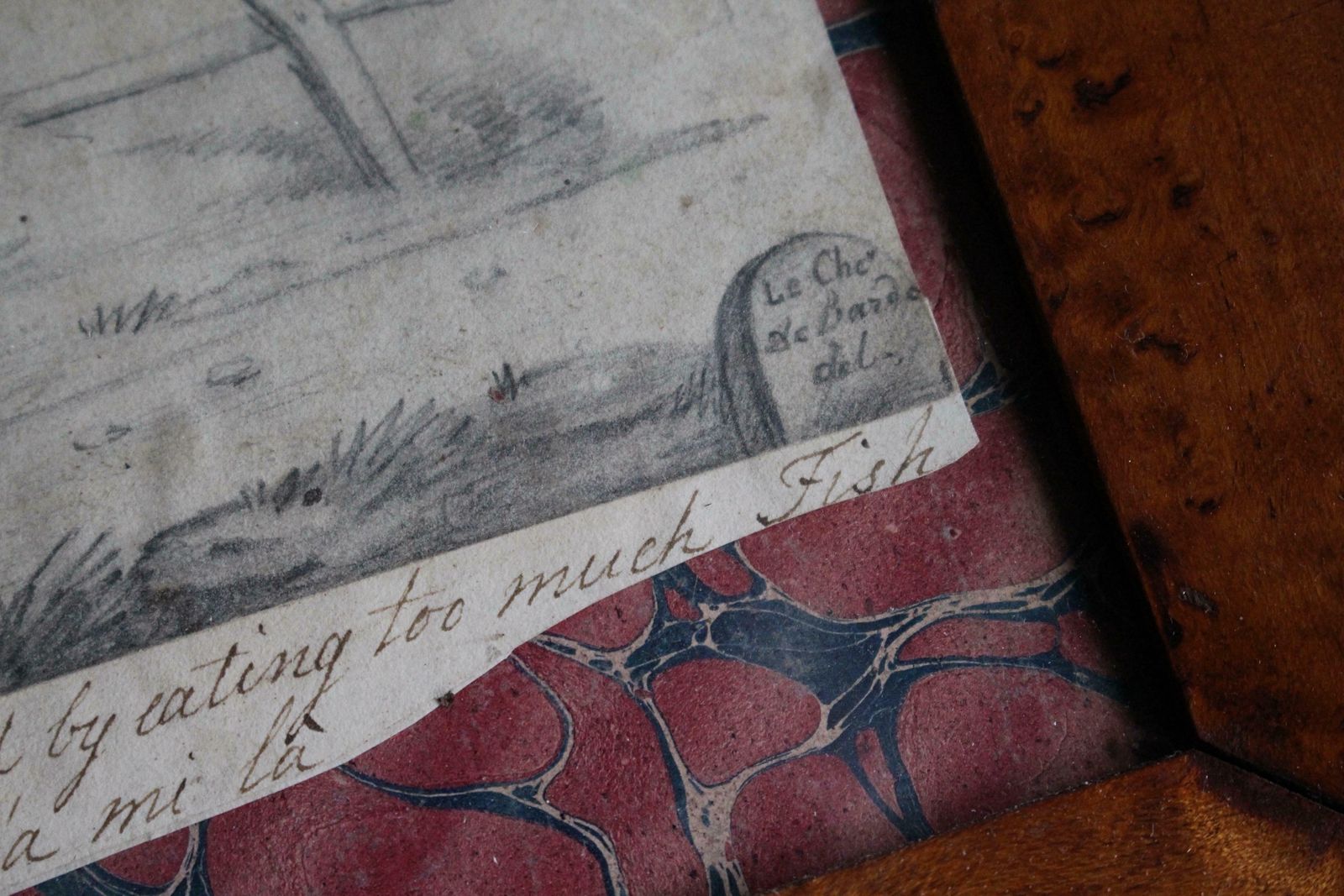 Late 19th Century Pencil Sketch Epitaph Man Who Ate Too Much Fish Curio Macabre photo for sale