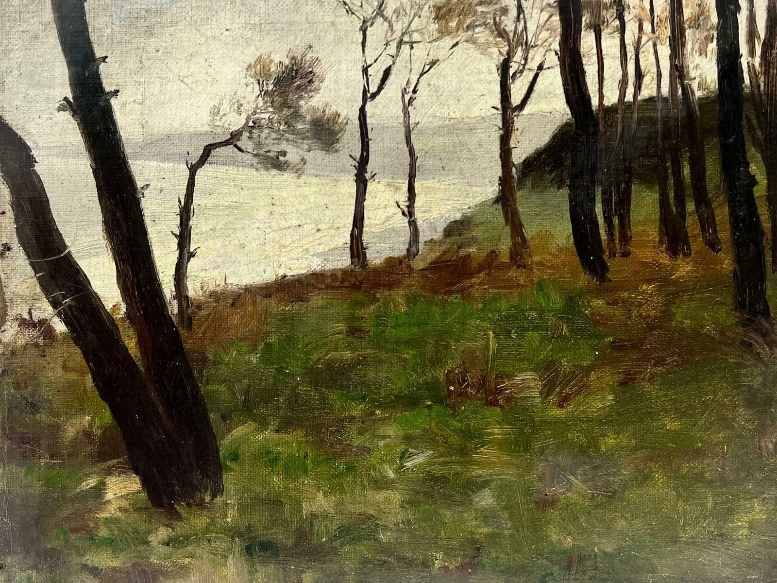 French Schoolatmospheric French Impressionist Oil Painting Early 20th Century Woodland Lake photo Art