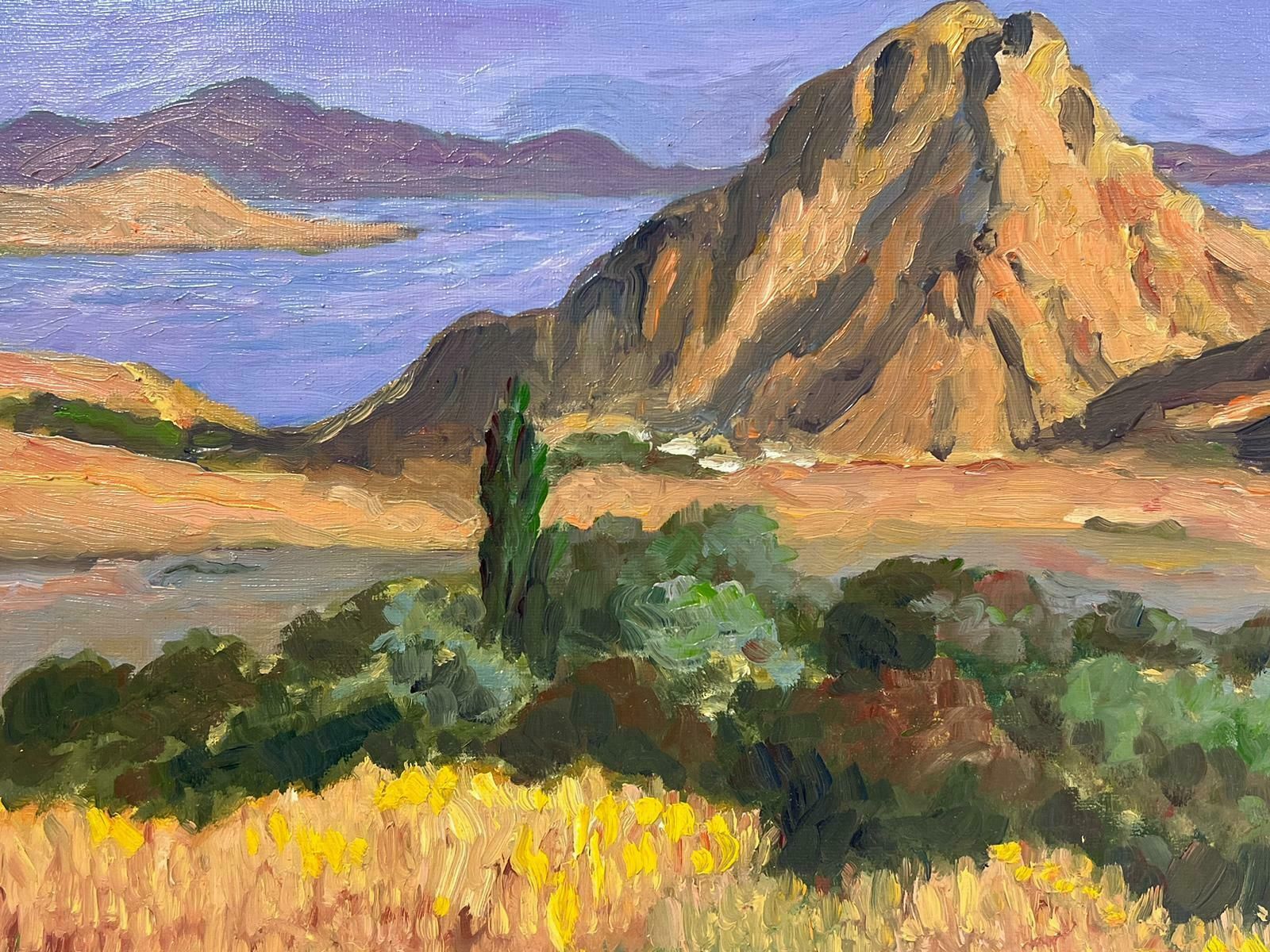 Georges Bordonovecontemporary French Impressionist Oil Purple Sea And Sky Mountain Landscape photo 814.0