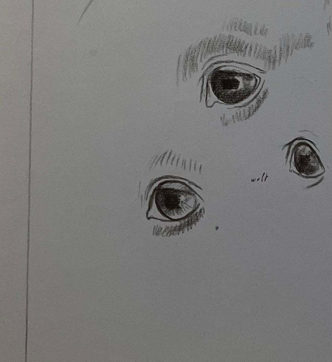 Robert Ladouoriginal French Anatomical Pencil Study Of A Horse's Eye's And Nose20th Century photo Art