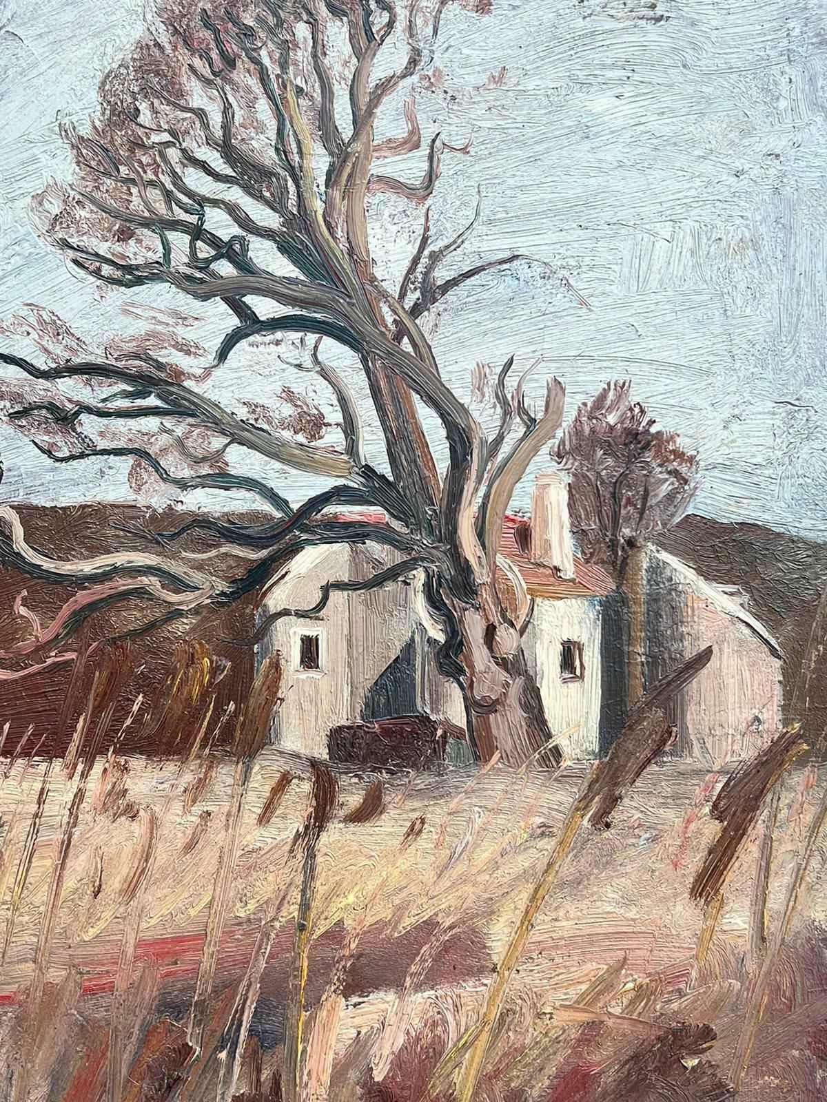 French School1930s French Post Impressionist Oil Painting Old Gnarled Tree In Brown Landscape photo Art
