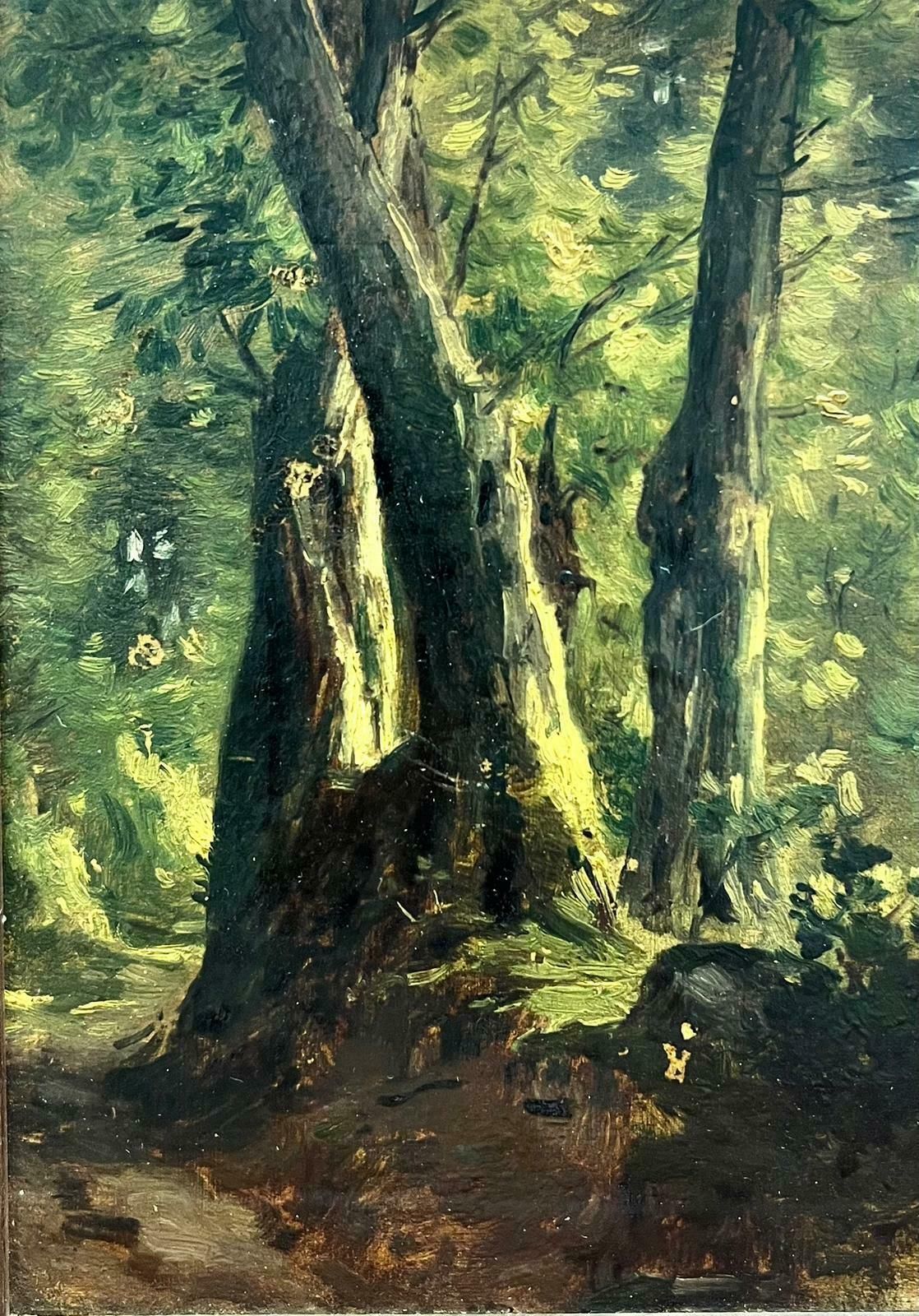 Sylvain Grateyrolle Dappled Sunlight Woodland Path In Landscape Antique French Landscape Oil photo for sale