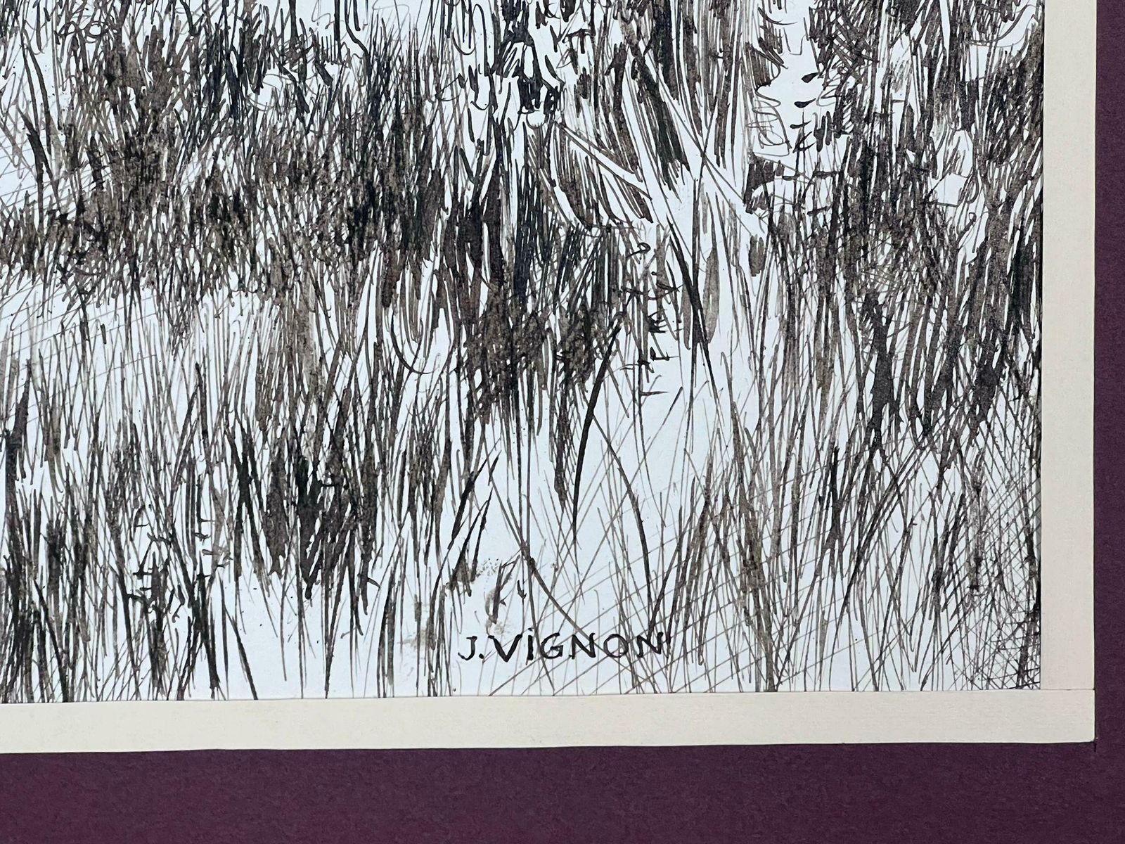 Josine Vignon1950s Black & White Ink Drawing Olive Tree Renoirs Garden Cagnes Sur Mer1950s photo Art
