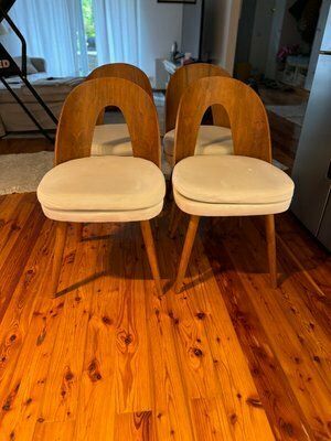 Mid Century Dining Chairs By Antonín šuman For Tatra Furniture, 1960s, Set Of 4 photo furniture