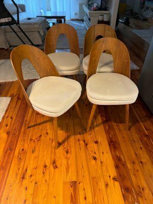Mid Century Dining Chairs By Antonín šuman For Tatra Furniture, 1960s, Set Of 4 photo 2504.0