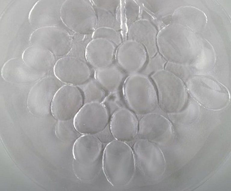 Scandinavian Art Glass, Six Mouth Blown Glass Dishes Adorned With Grape Bunches photo for sale