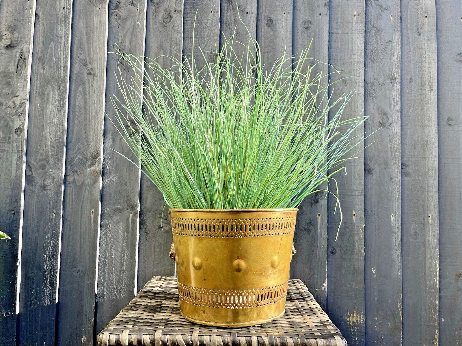 Antique Brass Regency Lions Head Heart Fretwork Planter Plant Pot Jardiniere Af photo Home Decor