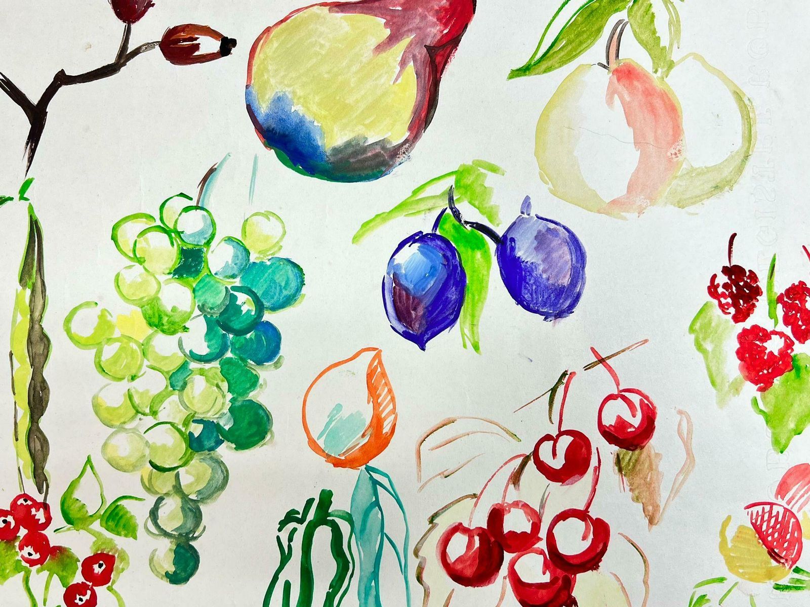 Josine Vignonmid Century French Colorful Illustration Sketches Of Different Fruits1960's photo furniture