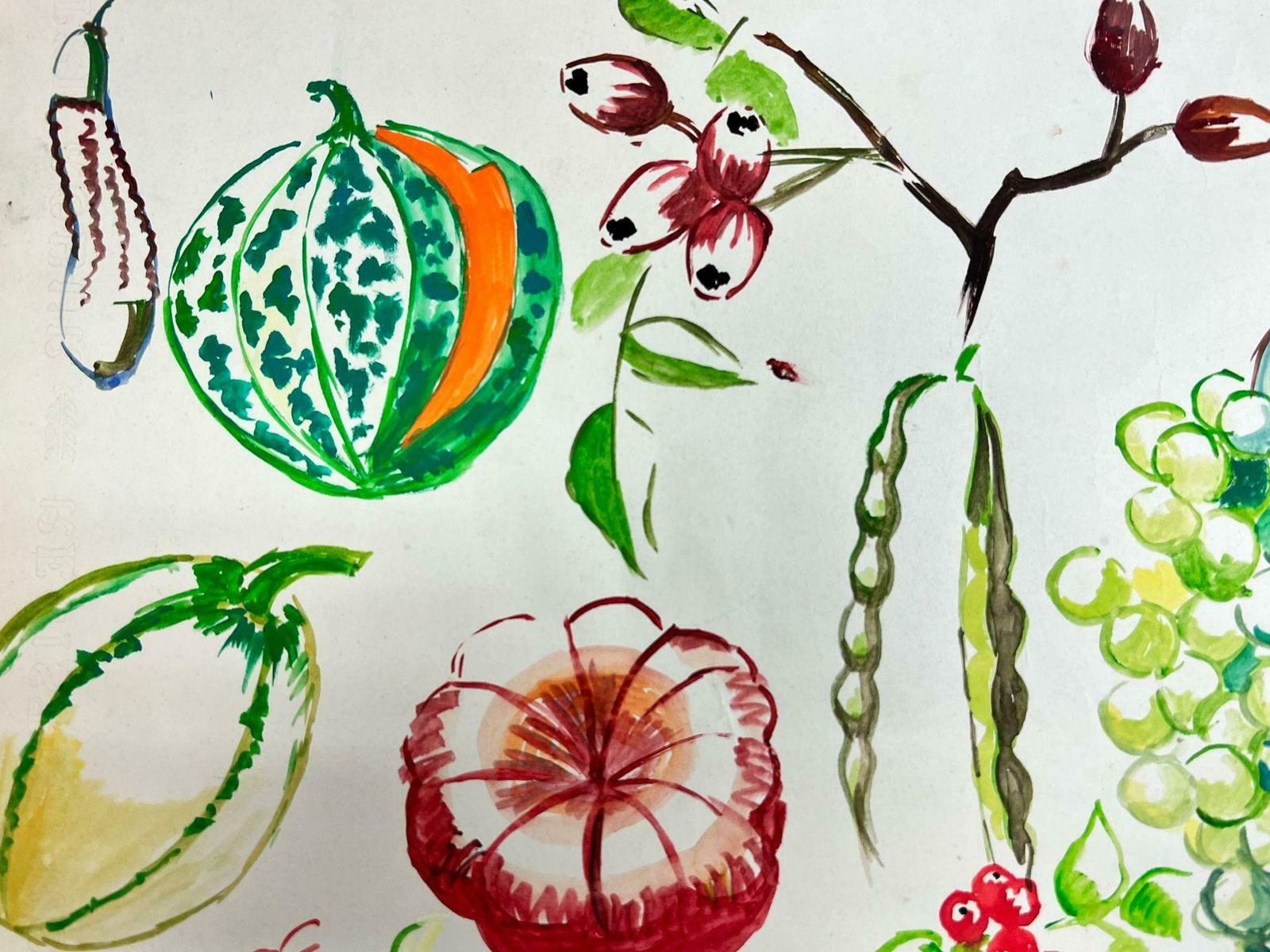 Josine Vignonmid Century French Colorful Illustration Sketches Of Different Fruits1960's photo 306.0