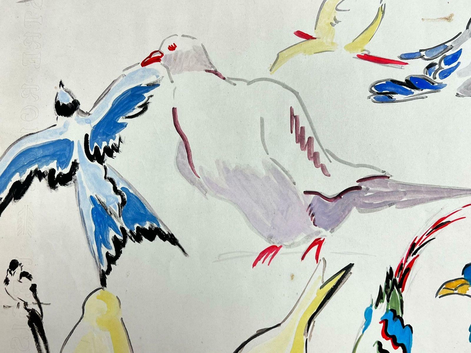 Josine Vignonmid Century French Illustration Sketches Of Different Colorful Birds1960's photo vinterior