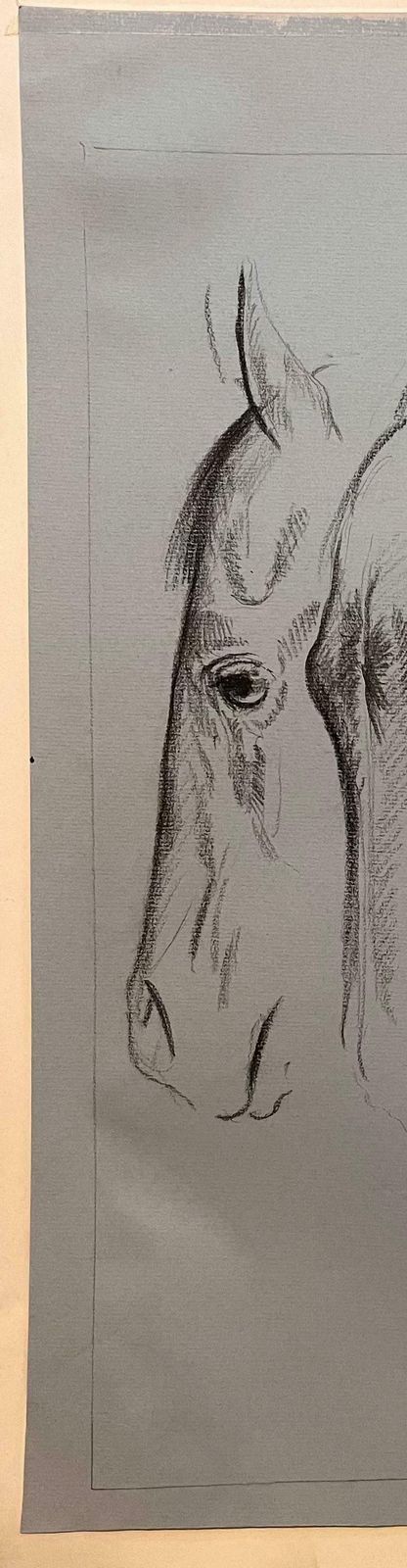 Robert Ladoustudy Of The Movement Of A Horses Head By Robert Ladou20th Century photo for sale