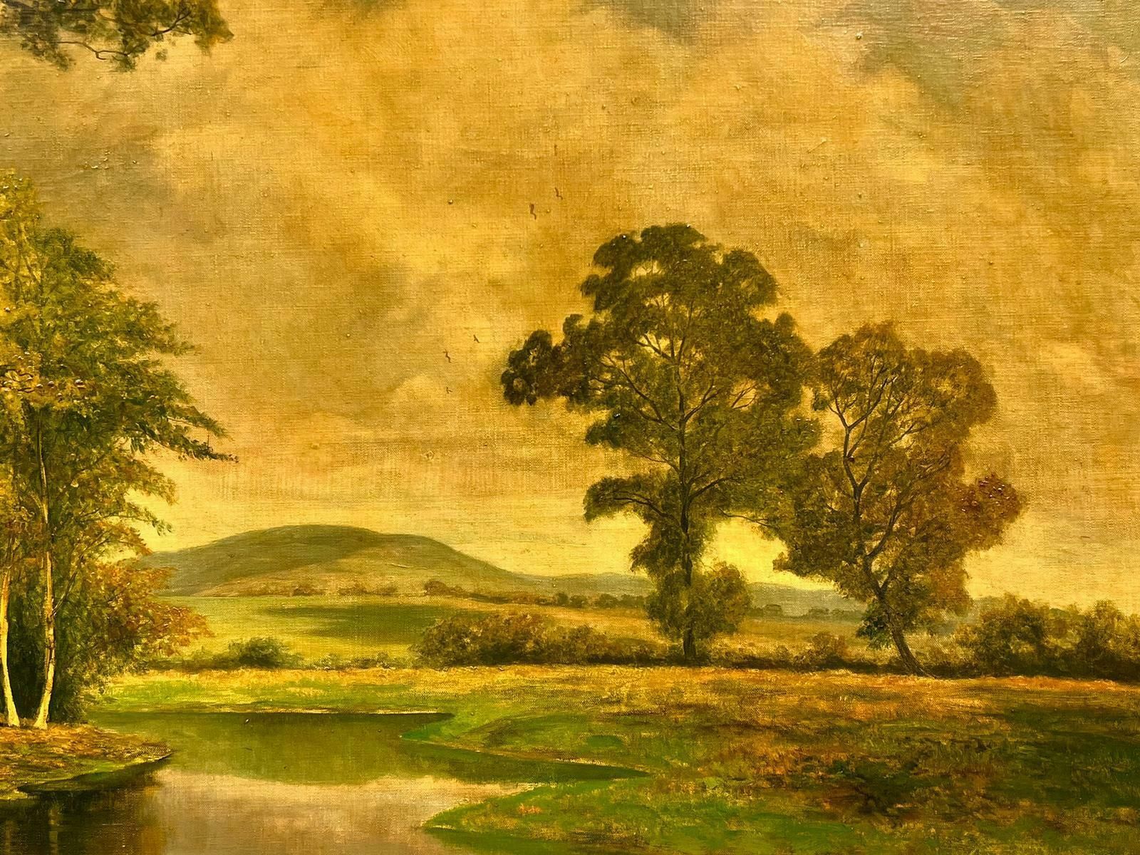 David Meadhuge British Oil Painting Golden River Landscape With Rising Hills, Framed photo vinterior