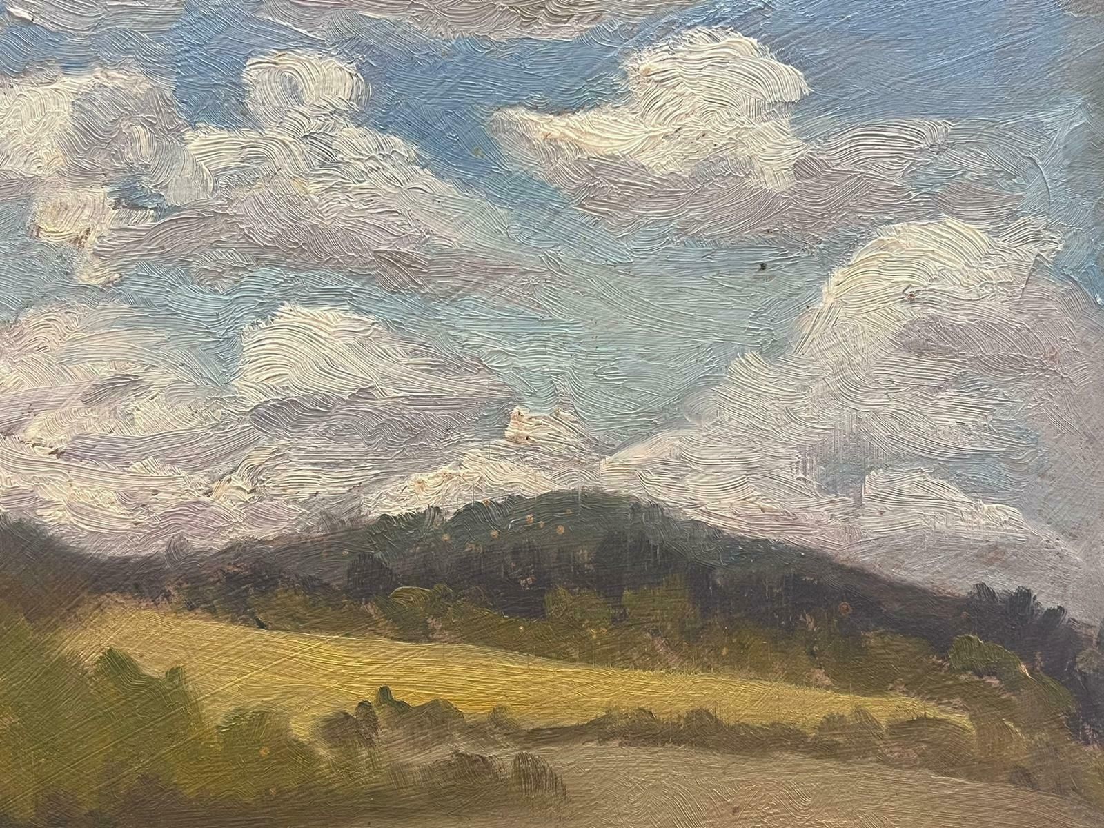 Geza Somerset Paddoncloudy Skies Over Golden Meadow Contemporary British Oil Painting photo Art