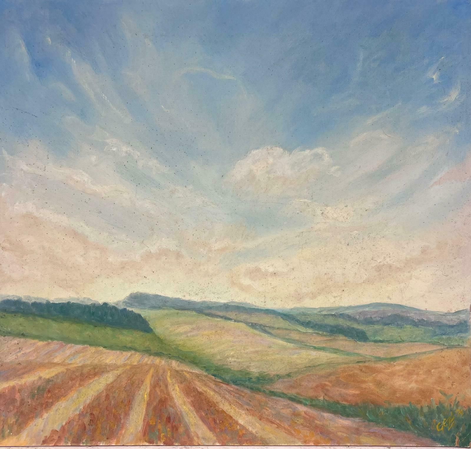 Geza Somerset Paddoncloudy Blue Skies Over Stripey Meadows Contemporary British Oil Painting