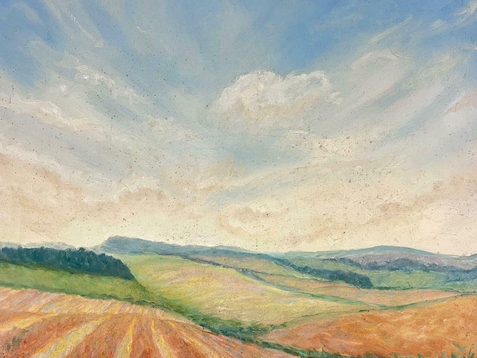 Geza Somerset Paddoncloudy Blue Skies Over Stripey Meadows Contemporary British Oil Painting photo Art