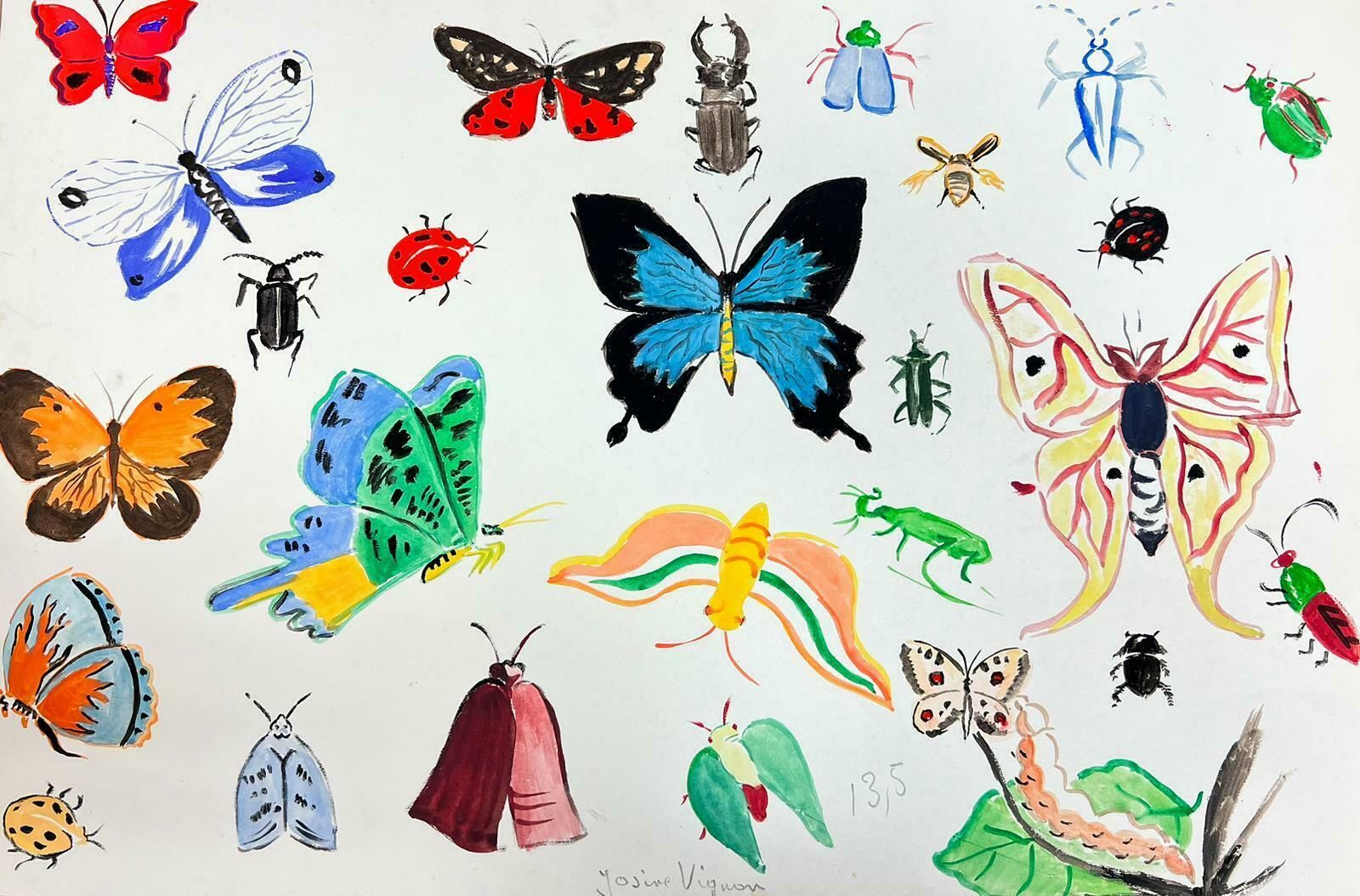 Josine Vignonmid Century French Illustration Sketches Of Different Butterflies & Insects1960's