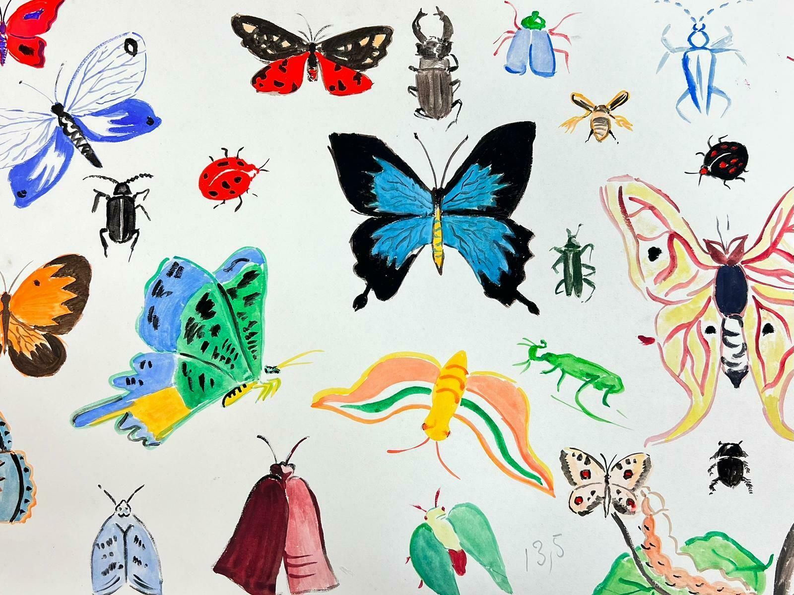 Josine Vignonmid Century French Illustration Sketches Of Different Butterflies & Insects1960's photo furniture