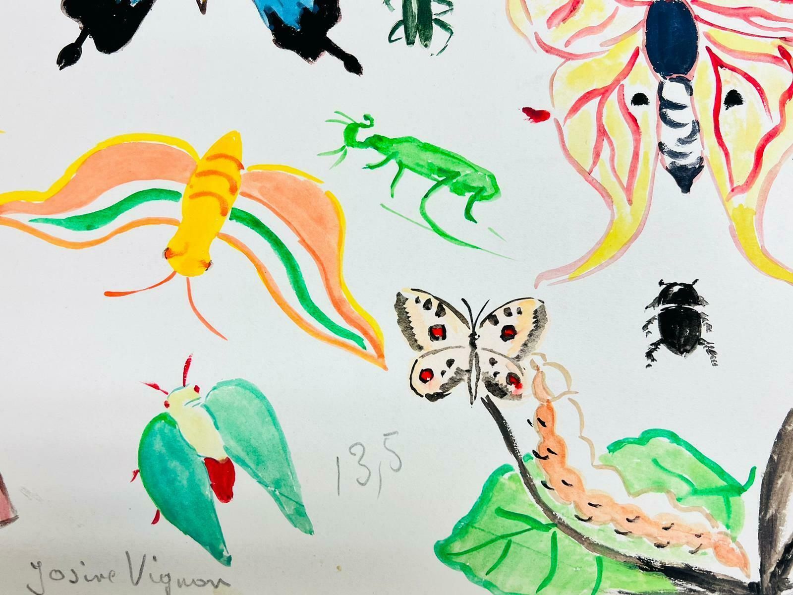Josine Vignonmid Century French Illustration Sketches Of Different Butterflies & Insects1960's photo Art