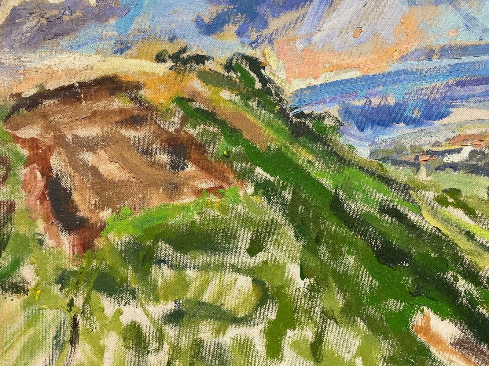 Douglas Stuart Allenimpressionist Oil Painting   Colourful Mountain Landscape20th Century photo Art