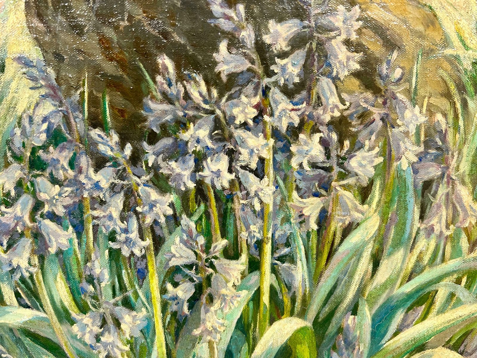 Aileen C.Eagletonbluebell Woodland Impressionist Oil Landscape Signed English Artist photo for sale