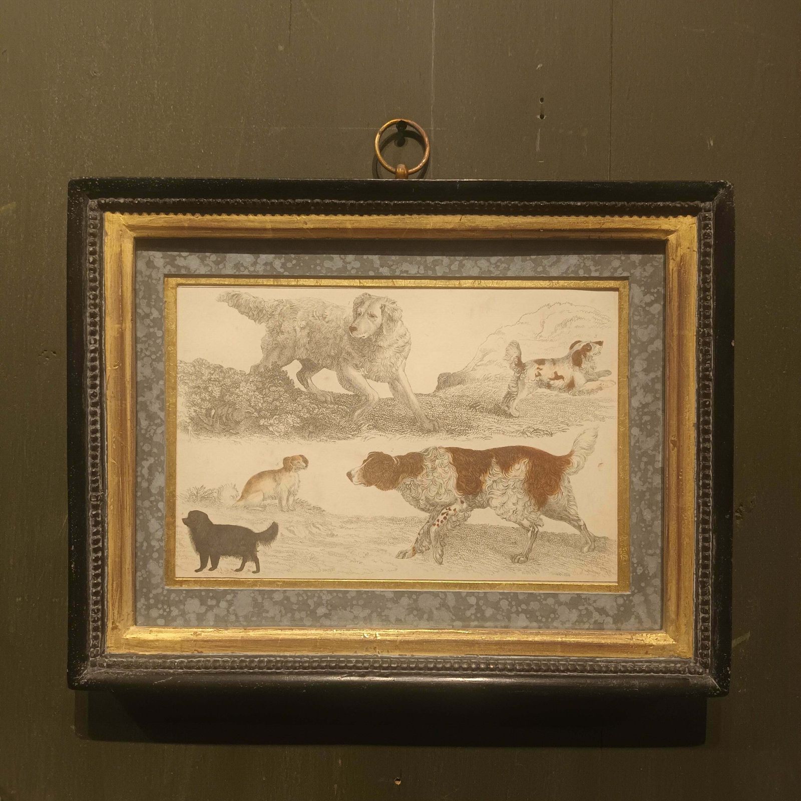 19th Century Framed Dog Engraving Pictures photo vinterior