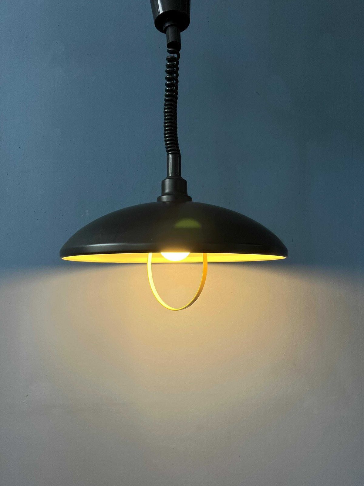 Oval Black Mid Century Metal Mid Century Pendant Lamp photo Lighting