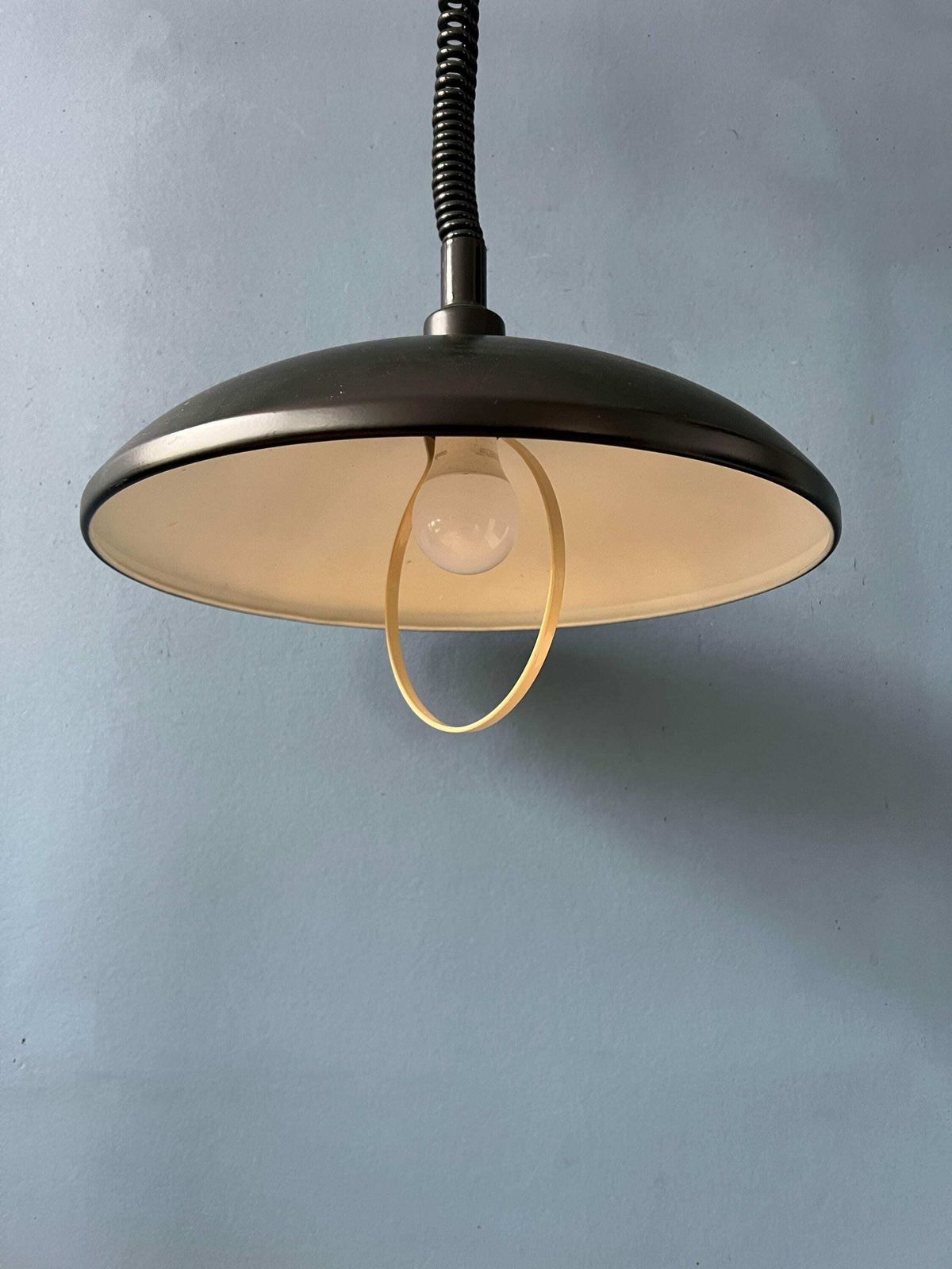 photo furniture Oval Black Mid Century Metal Mid Century Pendant Lamp