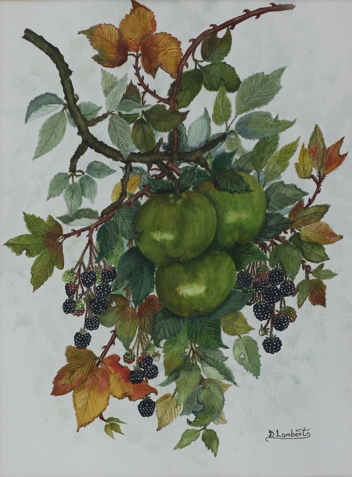 Watercolour By D. Lambert. Still Life. Title Is "Apple And Blackberry". photo furniture