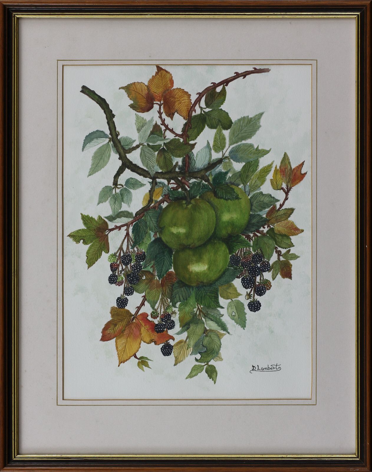 Watercolour By D. Lambert. Still Life. Title Is "Apple And Blackberry". photo Art