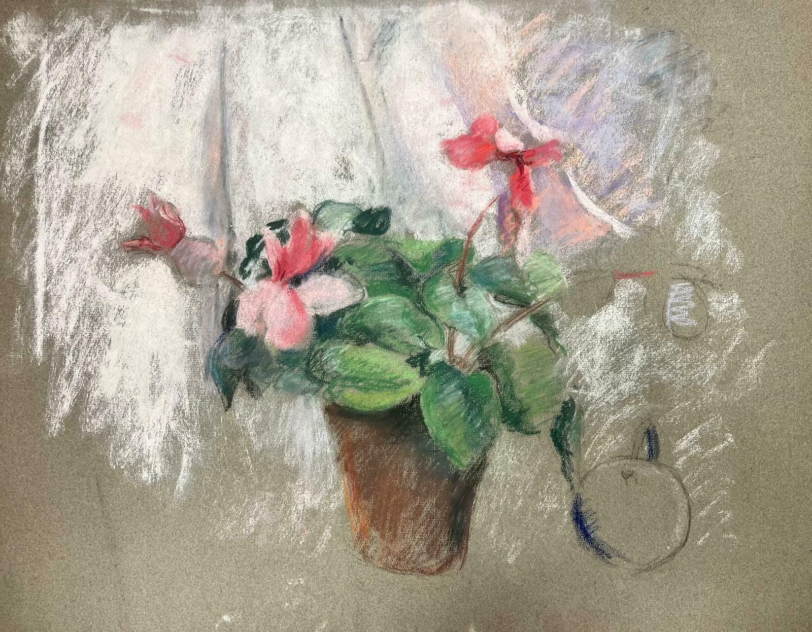 Josine Vignonmid Century French Illustration Sketch Pink Plant Pot1960's