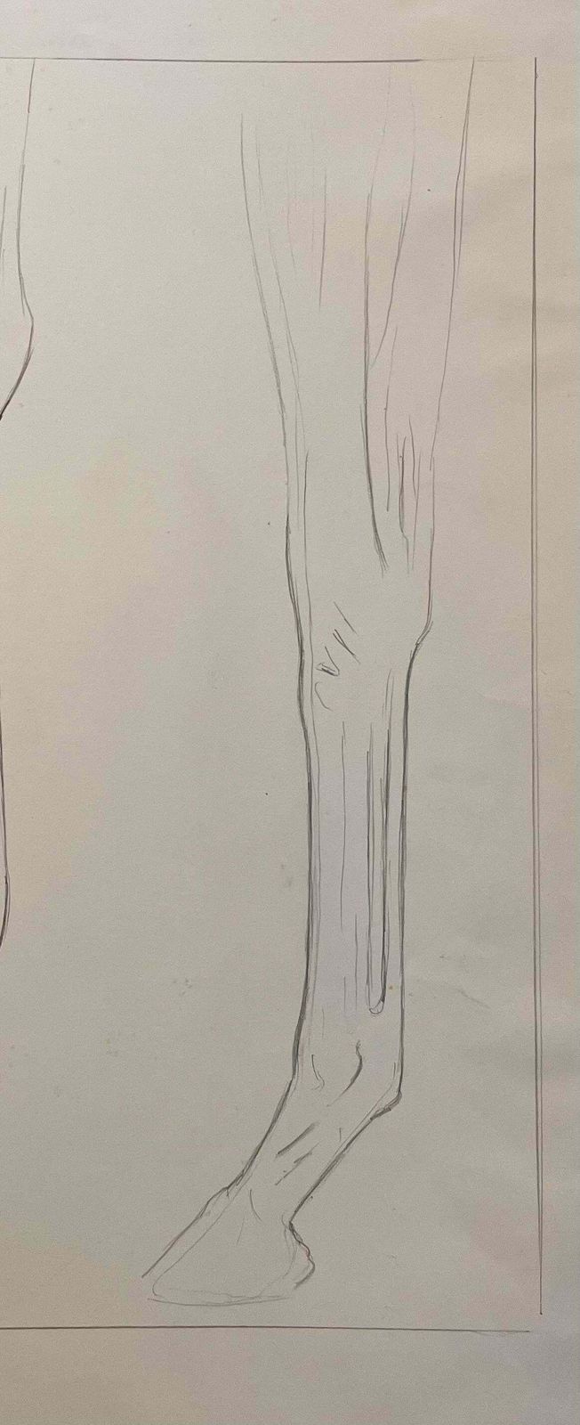 Robert Ladouoriginal French Anatomical Pencil Study Of Horse’s Limb20th Century photo vinterior