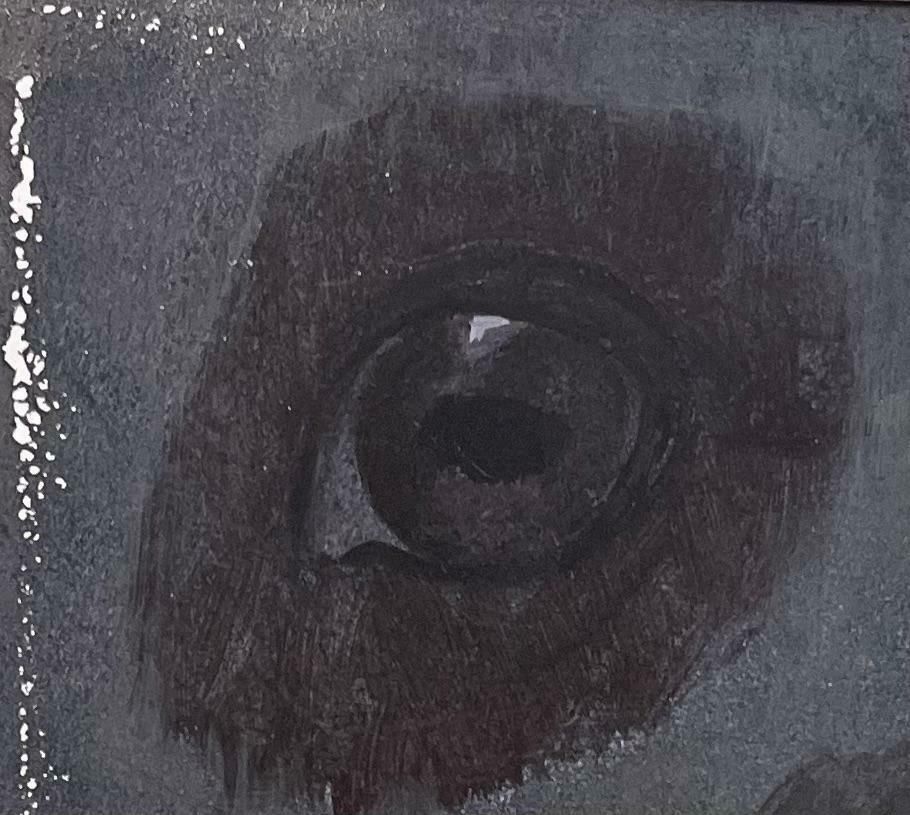 Robert Ladouoriginal French Anatomical Study Of Horse's Eyes20th Century photo for sale
