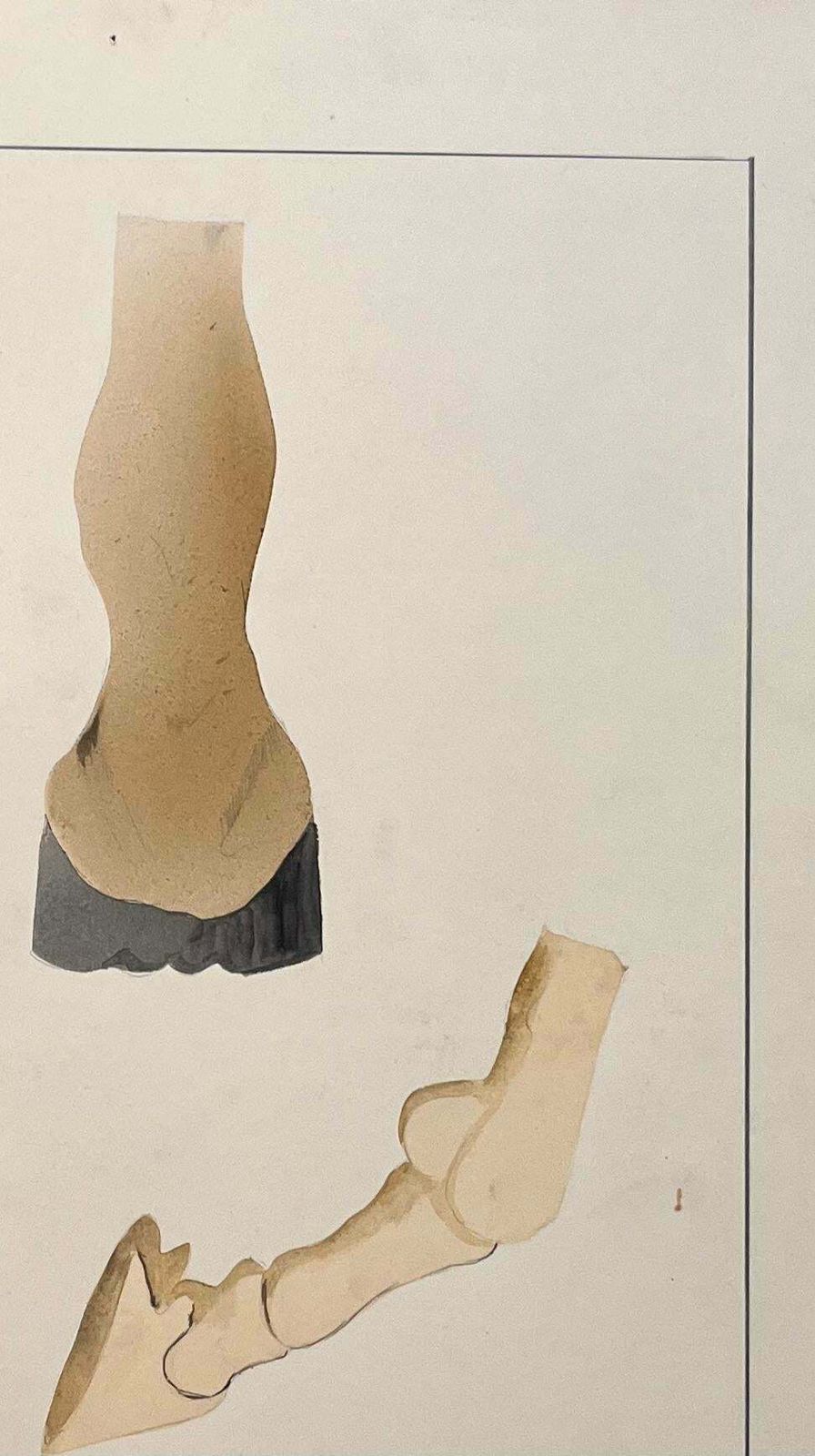 Robert Ladouoriginal French Anatomical Study Of Horse's Hoof20th Century photo Art