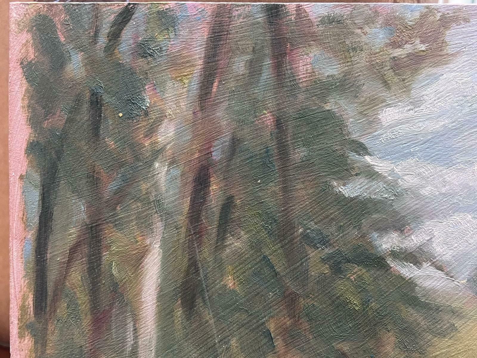 Geza Somerset Paddonblurred Clouds Through Gree Trees Contemporary British Oil Painting photo for sale