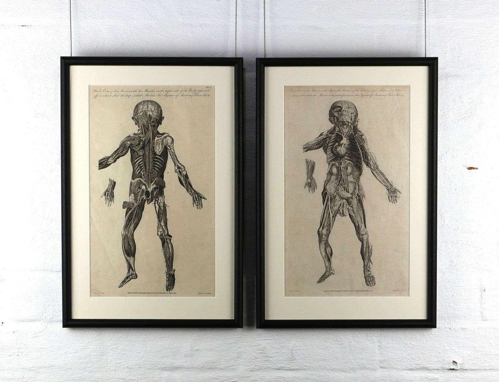 Pair Of Large Engravings From 1789 Edition Of The New Royal Encyclopaedia photo furniture