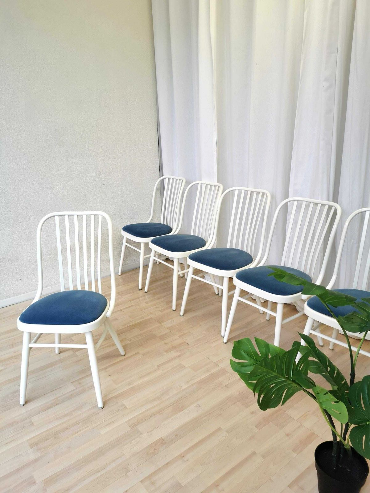 1 Of 6 Vintage Bentwood Dining Chairs / 1980s Yugoslavia / Made In Ligna Style / White Wooden Mid Century Dine Chairs With Blue Fabric Seat