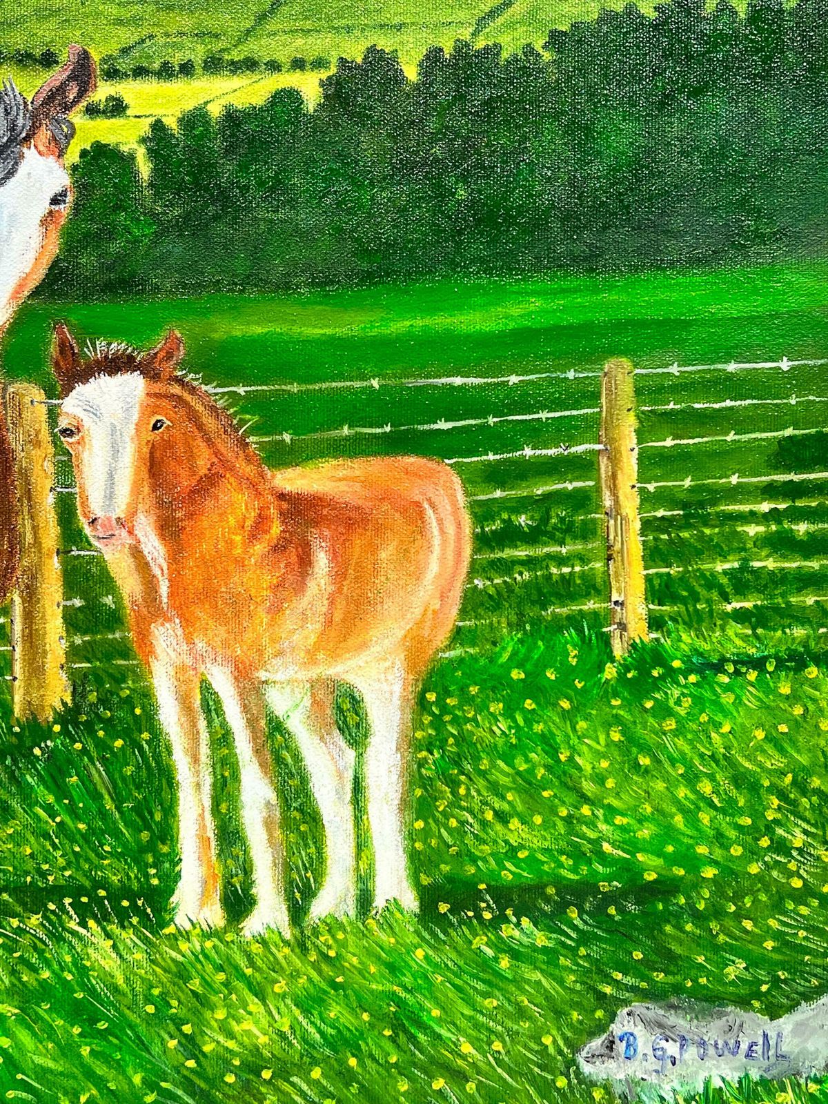 Ben Powellhorse & Foal In Mountain Landscape Contemporary British Painting photo Art