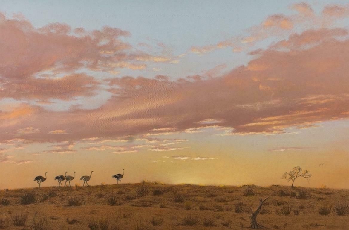 Vic Andrews [1922 2013]Ostriches In The Kalagari At Sunset, Large Original Wildlife Painting