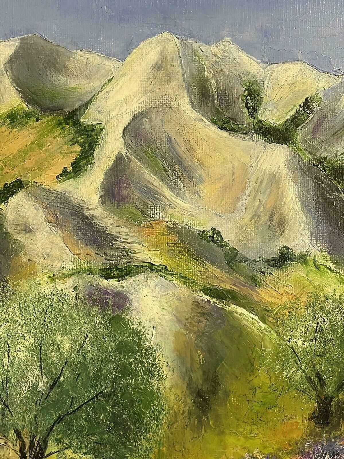 Louis Del Bianco (B.1925louis Del Bianco (French 1925) Signed Oil   Lavender Fields Provence Mountains20th Century photo for sale