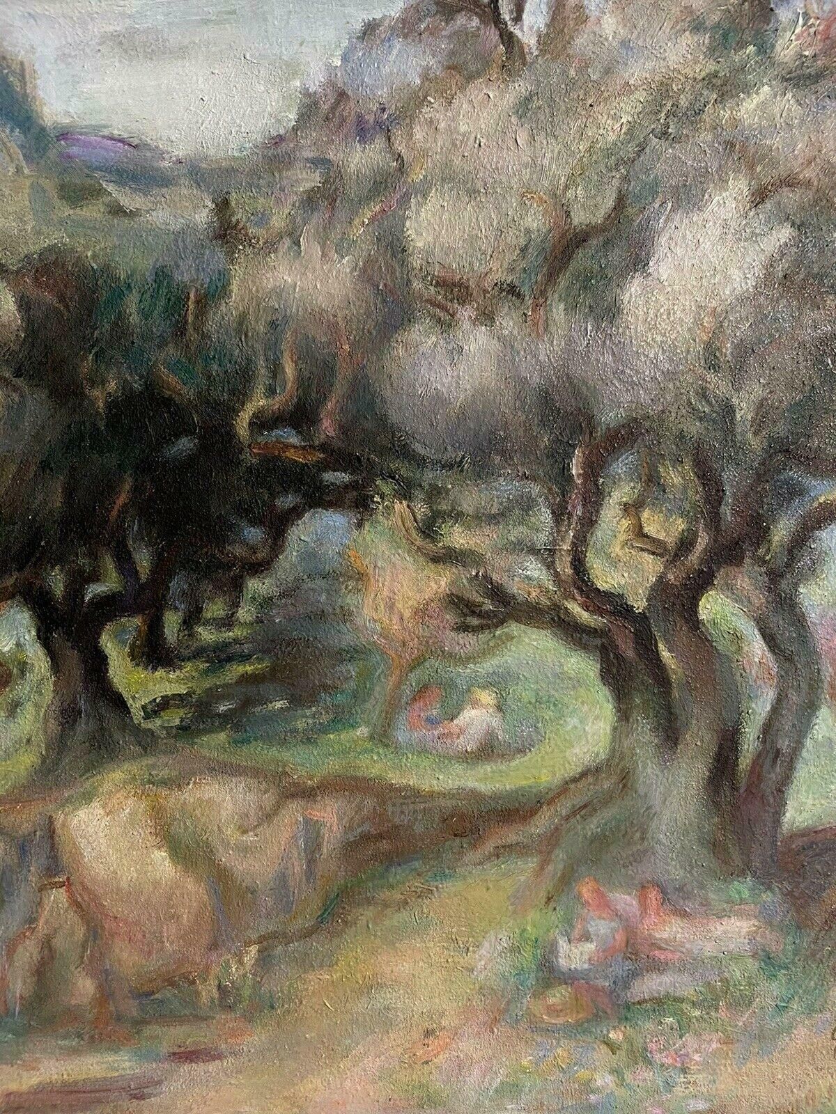 Germaine Bodinolive Groves In Provence, Signed Mid 20th Century French Post Impressionist Oil1950's photo Art